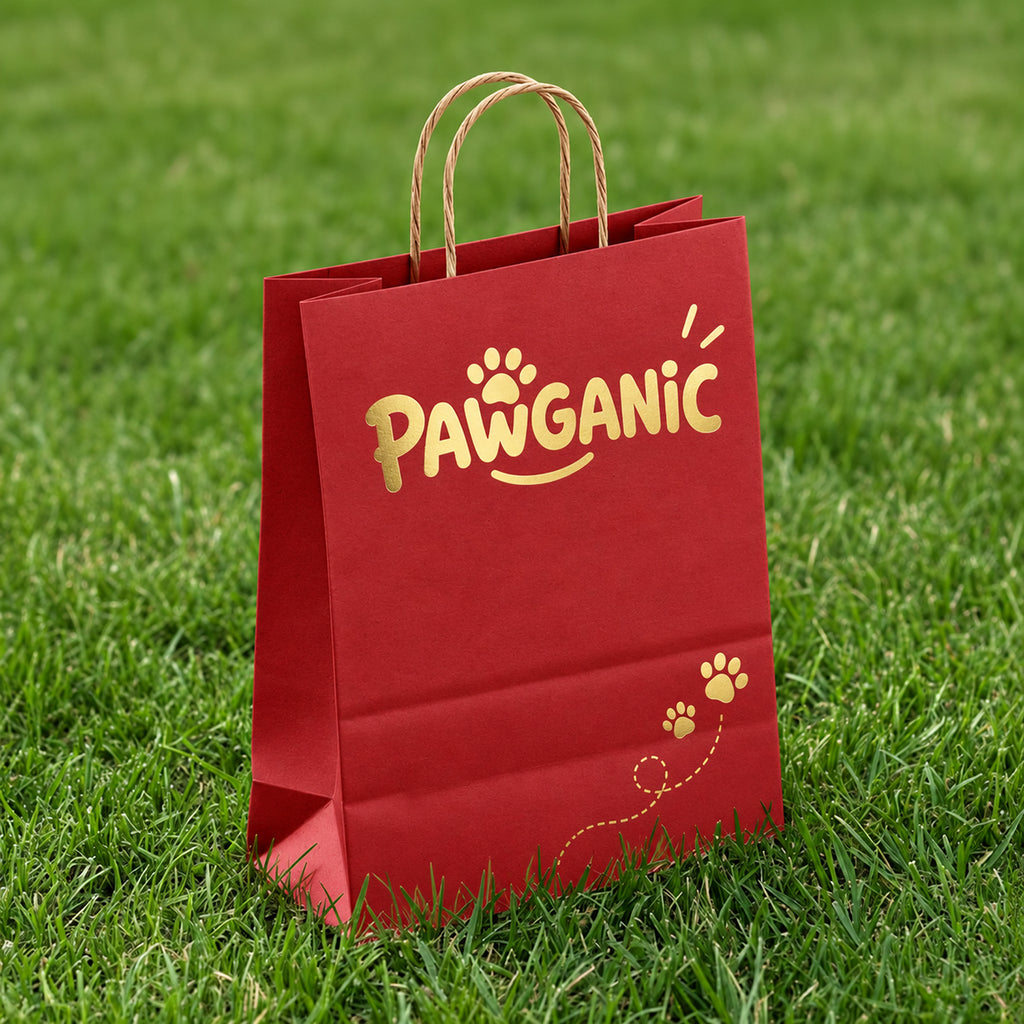 Custom Metallic Foil Kraft Shopping Bags