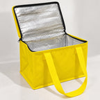 Custom insulated food delivery cooler bag with printed logo for restaurant takeaway transport